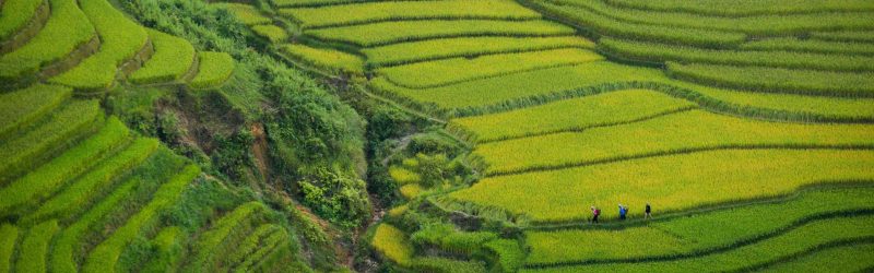 Top 6 places to visit Thanh Hoa to have fun