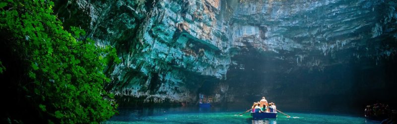 Phong Nha Ke Bang National Park to discover beautiful vegetation