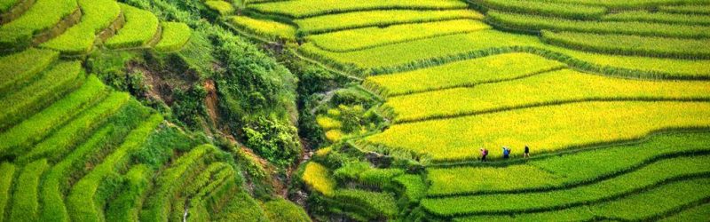 Pocket self-sufficient travel experience in Vietnam for the first time